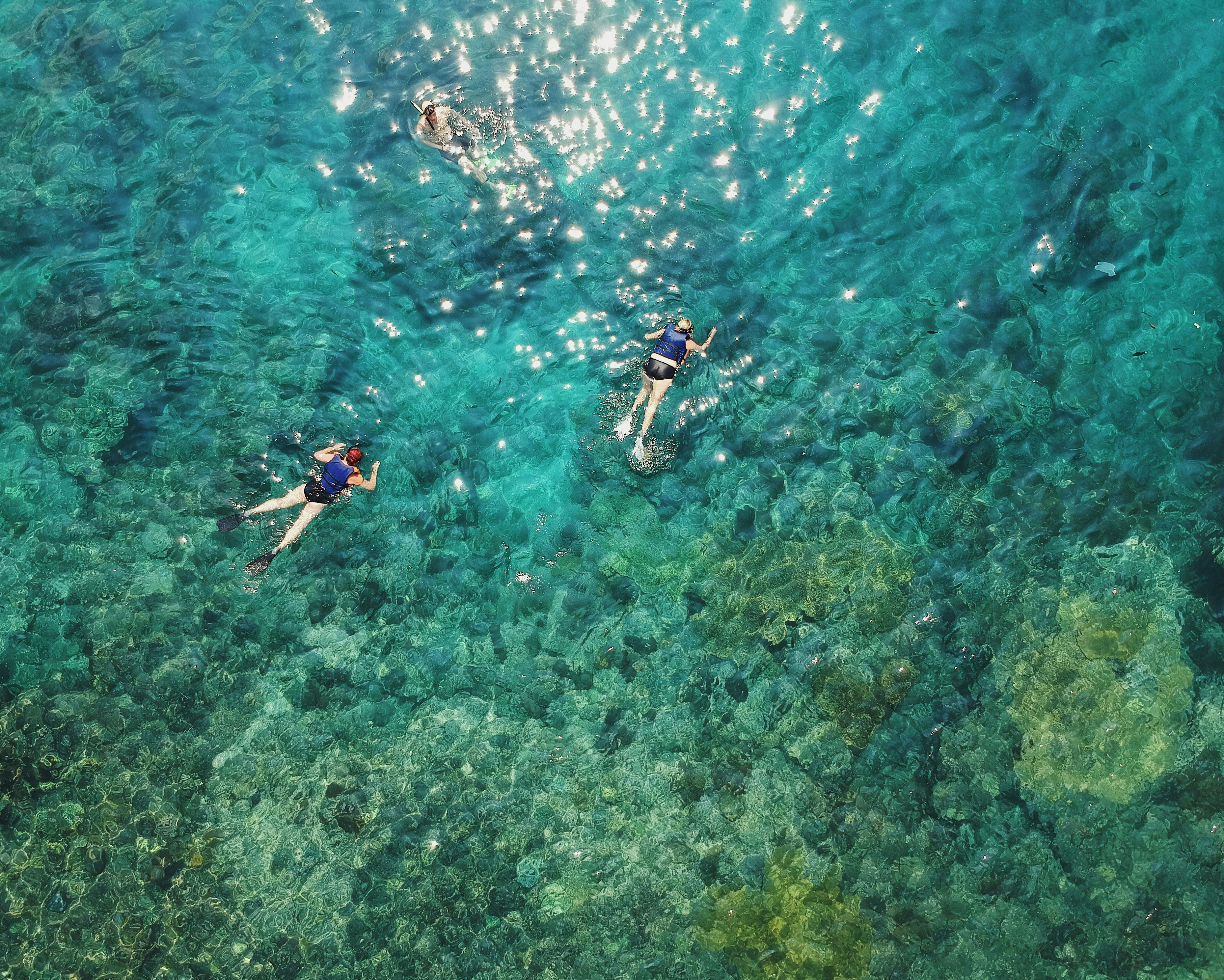 aerial photo of two persons snorkeling